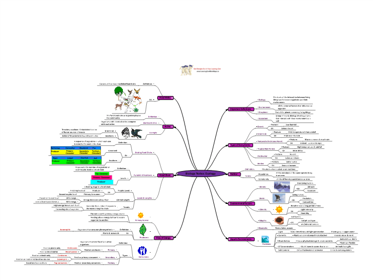 Biology Notes: Ecology Mind Map Template 